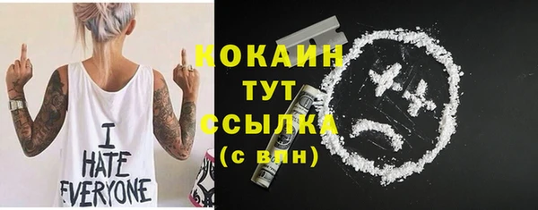 шишки Армянск