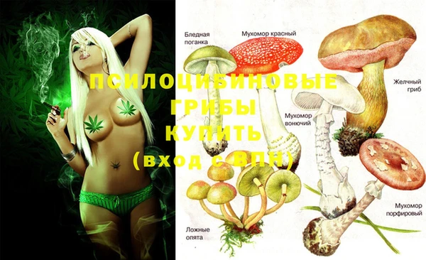 ПСИЛОЦИБИНОВЫЕ ГРИБЫ Арсеньев
