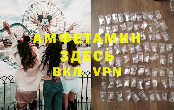 шишки Армянск