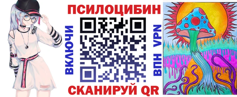 Галлюциногенные грибы Psilocybine cubensis  Пыталово 